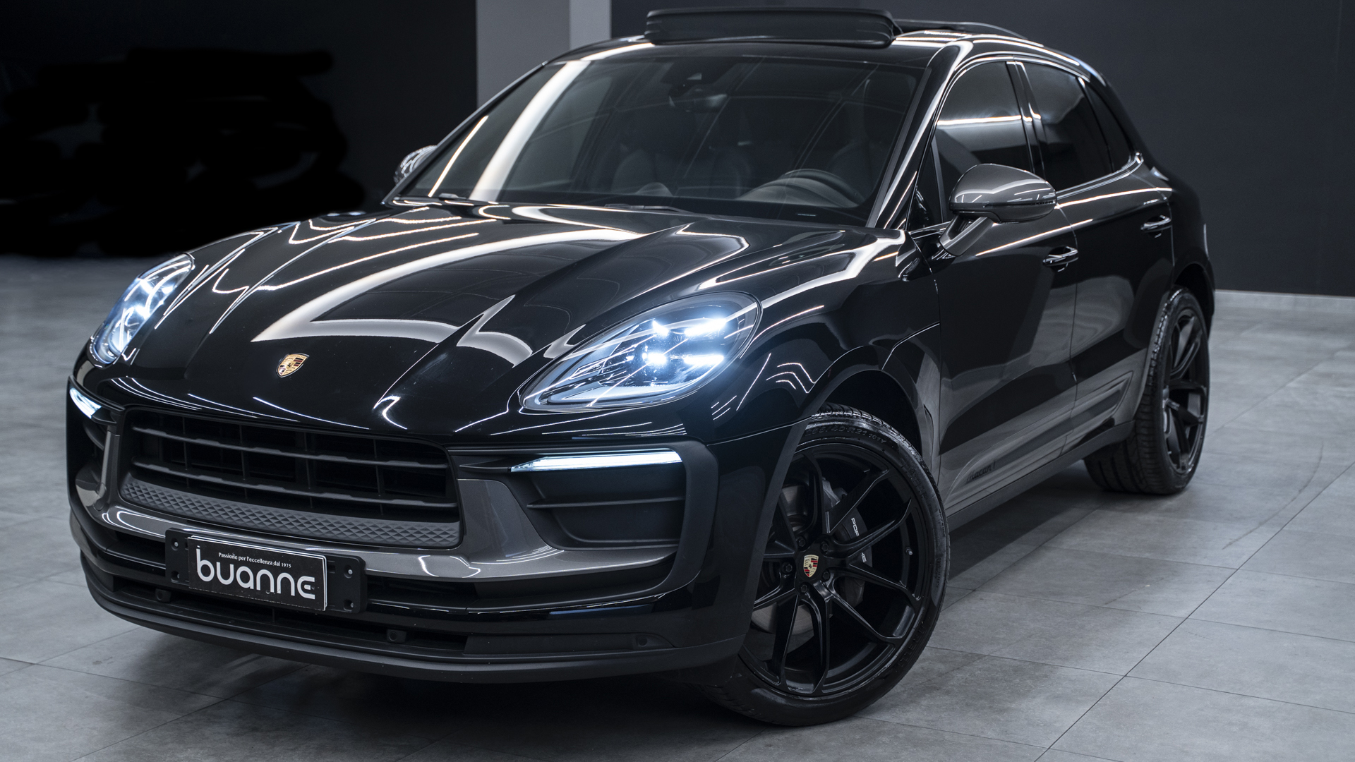 Macan