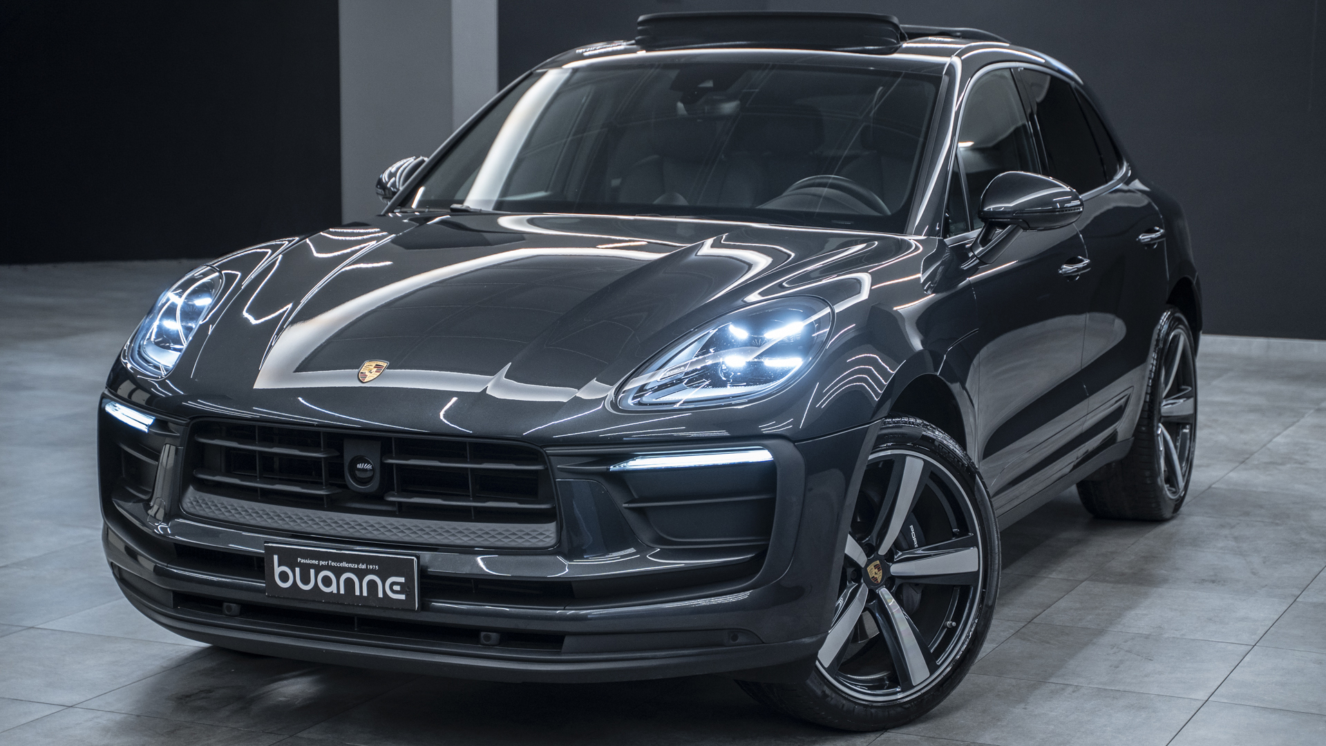 Macan