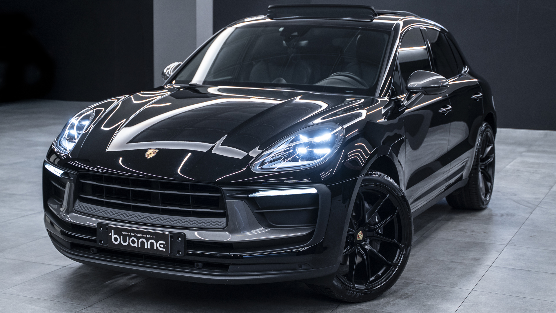 Macan